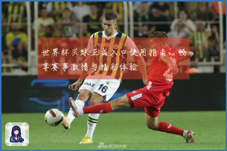世界杯买球正式入口使用指南，畅享赛事激情与精彩体验