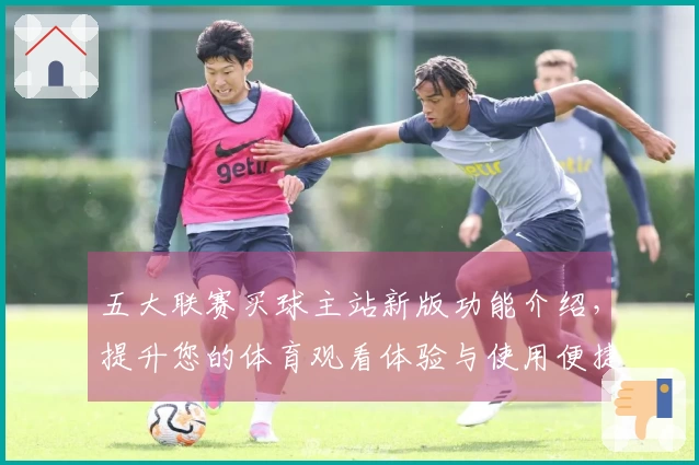 五大联赛买球主站新版功能介绍，提升您的体育观看体验与使用便捷性