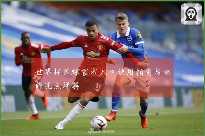 世界杯买球官方入口使用指南与功能亮点详解